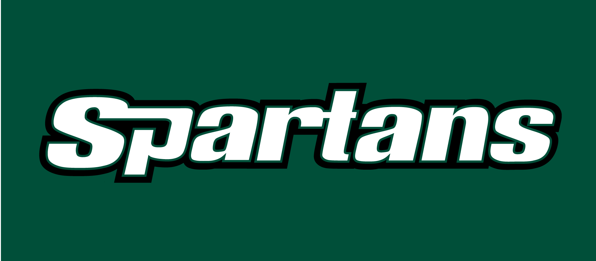 USC Upstate Spartans 2003-2010 Wordmark Logo v2 diy DTF decal sticker